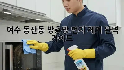 여수 동산동 방충망 먼지 제거 완벽 가이드