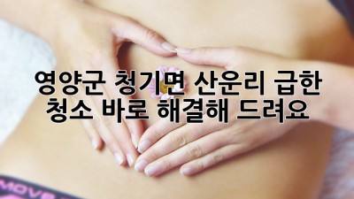 영양군 청기면 산운리, 급한 청소? 바로 해결해 드려요!